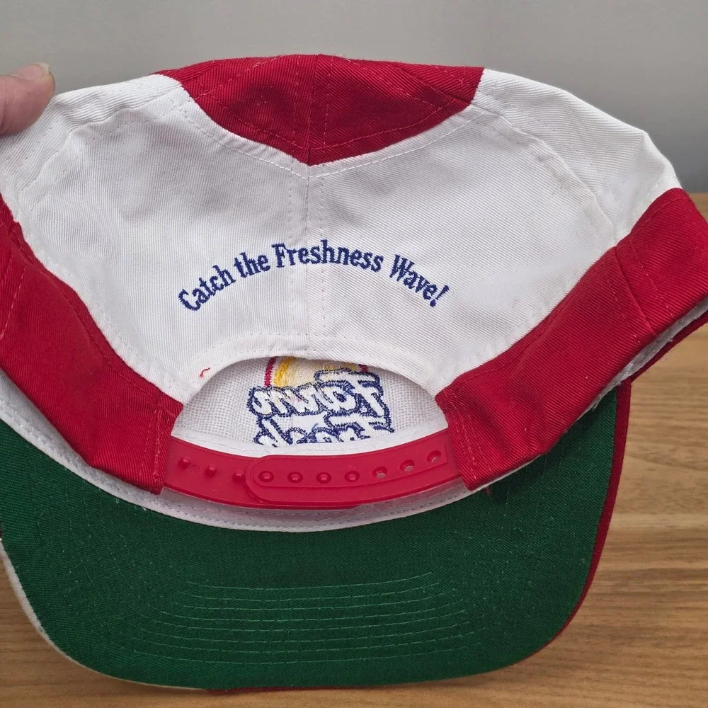 Farm Fresh Catch the Freshness Wave Embroidered Logo Snapback Hat Baseball Cap‎
